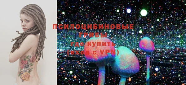 таблы Гусев