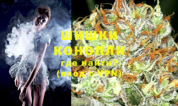 стафф Дмитров