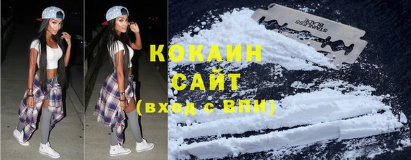 стафф Гусь-Хрустальный