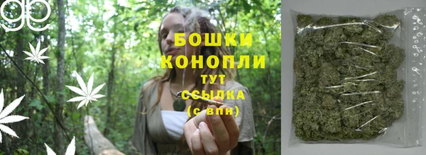 стафф Гусь-Хрустальный