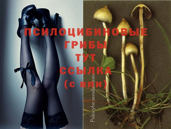 соль курить ск Гусиноозёрск
